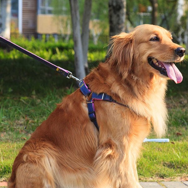 Promenad hundsele och koppel, justerbar valpsele reflekterande västsele anti-twist husdjur koppel snabb passform (Cowboy)