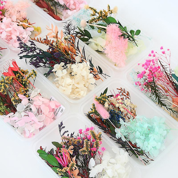 Sett med tørkede blomsterblader for DIY-håndverk, kunst, blandet flere tørkede blomster for stearinlys, harpiks, smykker