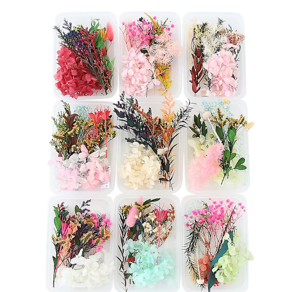 Sett med tørkede blomsterblader for DIY-håndverk, kunst, blandet flere tørkede blomster for stearinlys, harpiks, smykker