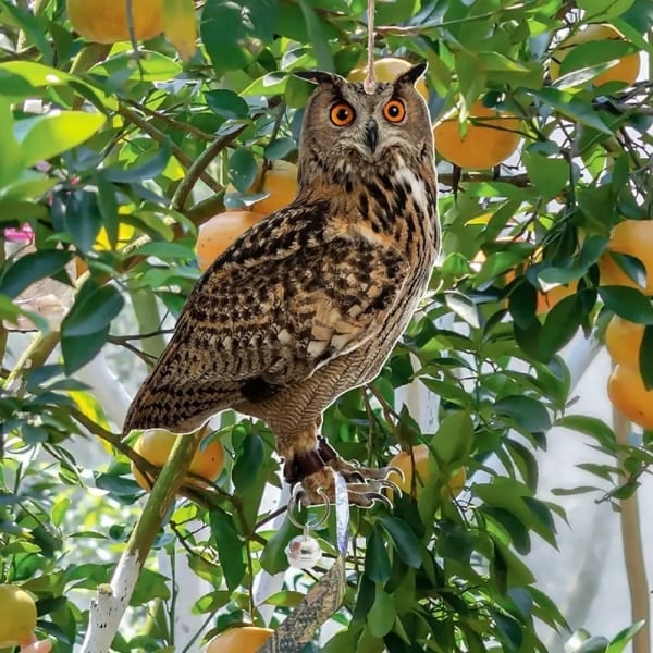 Bird Scarer with Bells - Bird Repellent Owl Rectangular Hanging