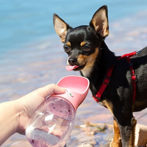 Vandflaske til Hund / Hundeflaske 350ml - Flere Farver