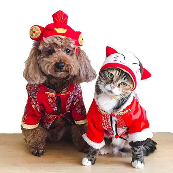 Pet Headwear - Söt Kostym för Katter och Små Hundar Modell 7