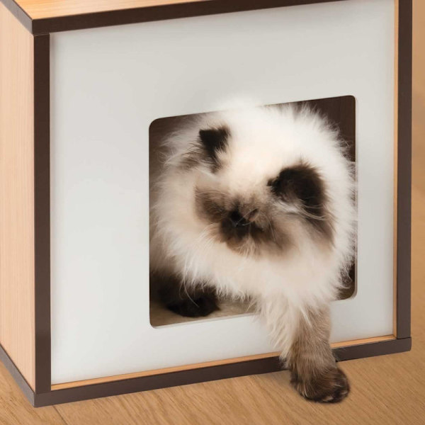Vesper V-Box Cat Furniture S  walnut