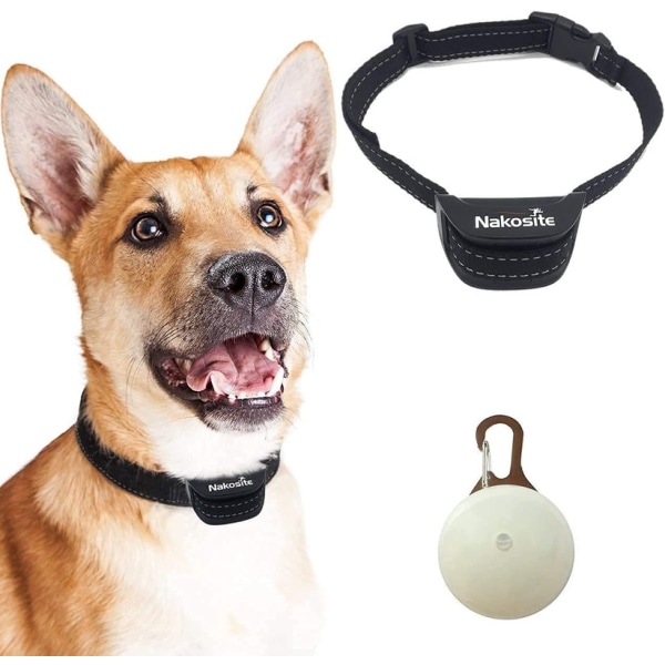 Bästa hundhalsband för att förhindra skallhalsband hindrar hundar från att skälla