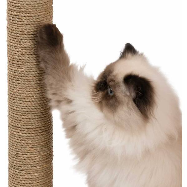 Vesper V-Box Cat Furniture S  walnut