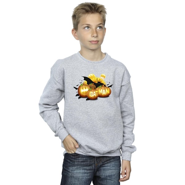 DC Comics Boys Batman Pumpkins Sweatshirt 7-8 år Sports Grey Sports Grey 7-8 Years