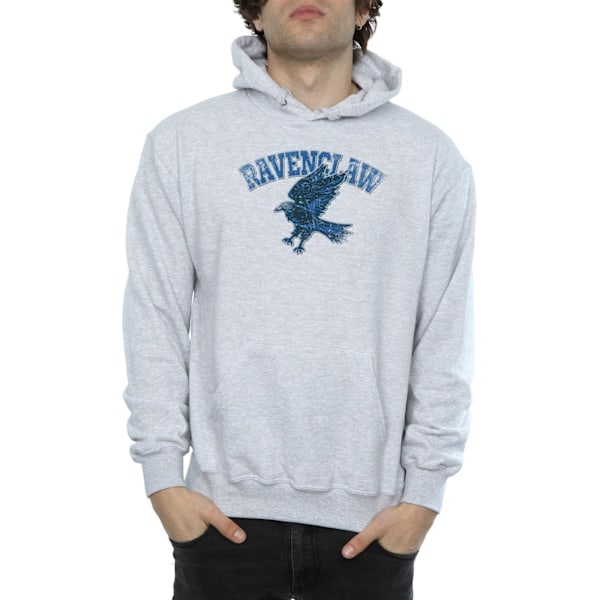 Harry Potter Herr Ravenclaw Sport Emblem Hoodie S Sports Grey Sports Grey S