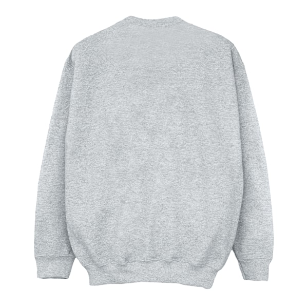 Looney Tunes Pojkar Bugs Bunny Cirkellogotyp Sweatshirt 9-11 År Sports Grey 9-11 Years