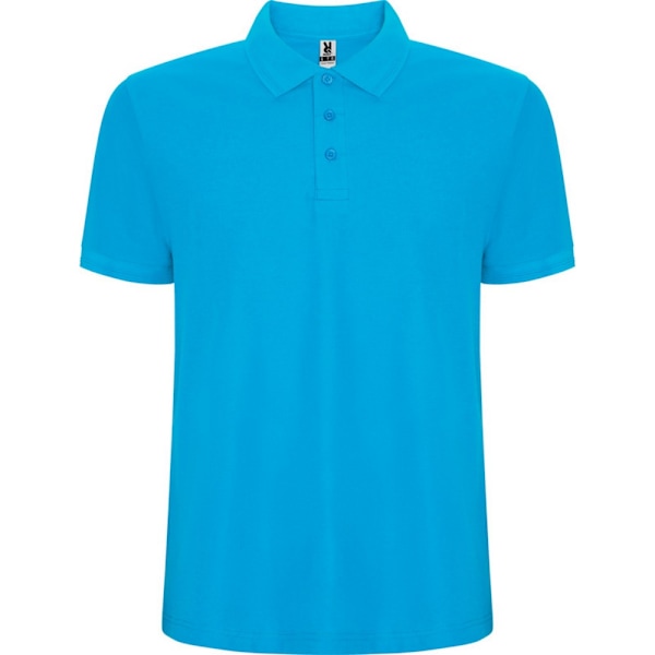 Roly Barn/Kids Pegaso Premium Kortärmad Poloshirt 3-4 Turquoise 3-4 Years