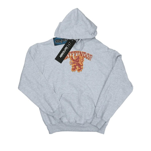Harry Potter Herr Gryffindor Sport Emblem Hoodie S Sports Grey Sports Grey S