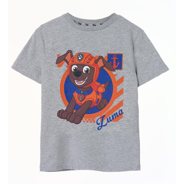 Paw Patrol Boys Zuma Kortärmad T-shirt 7-8 År Gråmelerad Grey Marl 7-8 Years