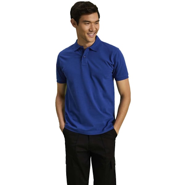 Asquith & Fox Herr Plain Kortärmad Pikétröja 4XL Royal Royal 4XL