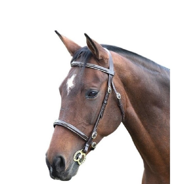 Blenheim Fancy Stitch Läder Häst Inhand Bridle Pony Havana Havana Pony