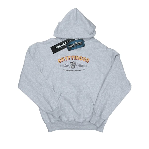 Harry Potter Herr Gryffindor Team Quidditch Hoodie XXL Sports G Sports Grey XXL