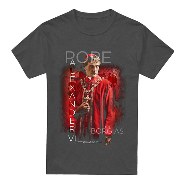 The Borgias Unisex Vuxen Påve Alexander VI T-Shirt 3XL Kolgrå Charcoal 3XL