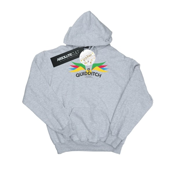 Harry Potter Dam/Kvinnor Snitch Vingar Pasteller Hoodie L Sport Sports Grey L