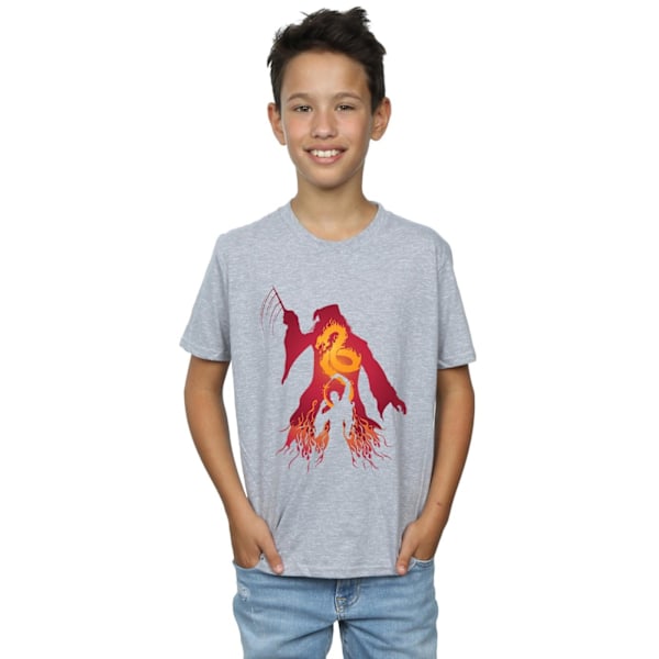 Harry Potter Boys Dumbledore Silhouette T-Shirt 5-6 år Sport Sports Grey 5-6 Years