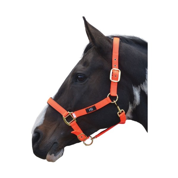 Hy Grand Prix Head Collar Pony Hot Orange Hot Orange Pony