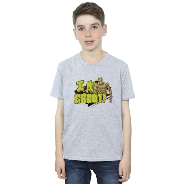 Guardians Of The Galaxy Boys I Am Groot T-Shirt 7-8 År Sport Sports Grey 7-8 Years