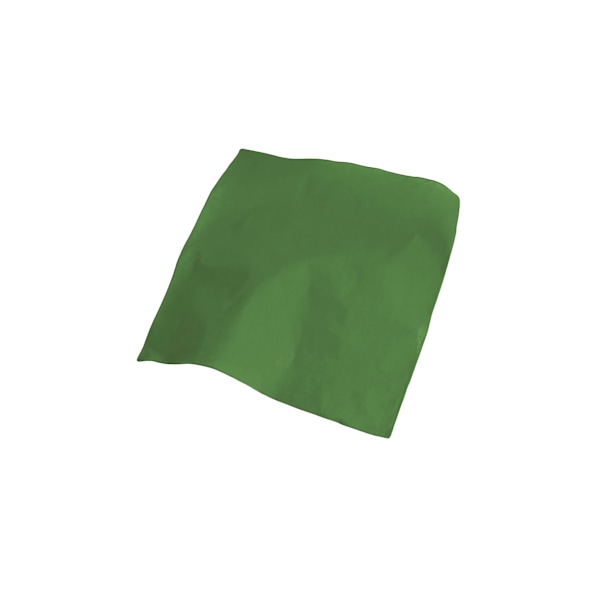Atlantis Goal Bandana One Size Grön Green One Size