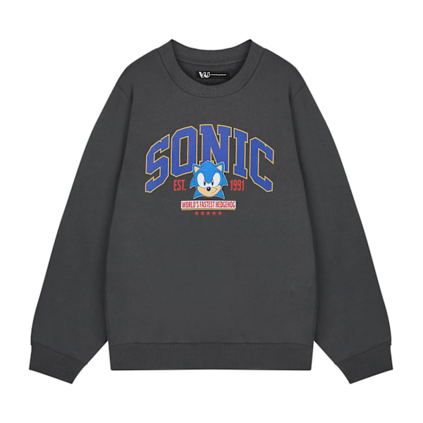 Sonic The Hedgehog Herr Världens Snabbaste Sweatshirt M Grå Grey M