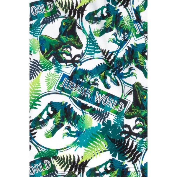 Jurassic World Boys Dinosaur Badshorts 10-11 år Grön Green 10-11 Years