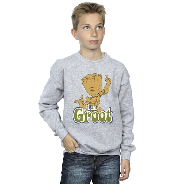 Guardians Of The Galaxy Pojkar Groot Dansande Sweatshirt 5-6 År Sports Grey 5-6 Years