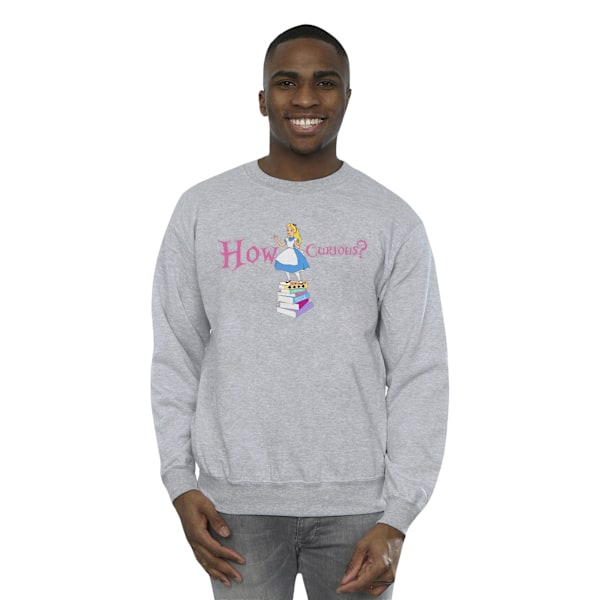 Disney Mens Alice In Wonderland How Curious Sweatshirt L Sports Sports Grey L