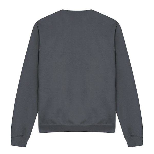 Garfield Unisex Vuxen Super Sweatshirt M Kolgrå Charcoal M