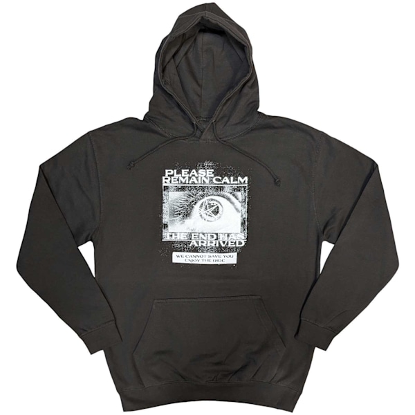 Bring Me The Horizon Unisex Vuxen Remain Calm FP Hoodie M Grå Grey M