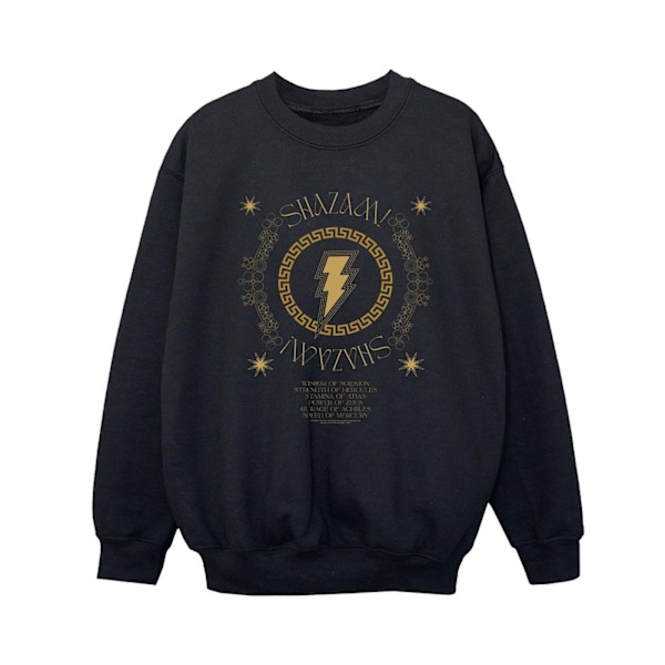 DC Comics Boys Shazam Fury Of The Gods Golden Spiral Chest Sweatshirt Black 12-13 Years