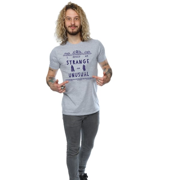 Beetlejuice Män Strange And Unusual T-Shirt XXL Sports Grey Sports Grey XXL