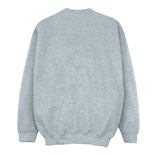 Harry Potter Pojkar Hogwarts Emblem Sweatshirt 5-6 År Sports G Sports Grey 5-6 Years