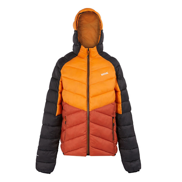 Regatta Dalent Vadderad Jacka med Huva för Män 3XL Fox/Red Ochre Fox/Red Ochre 3XL
