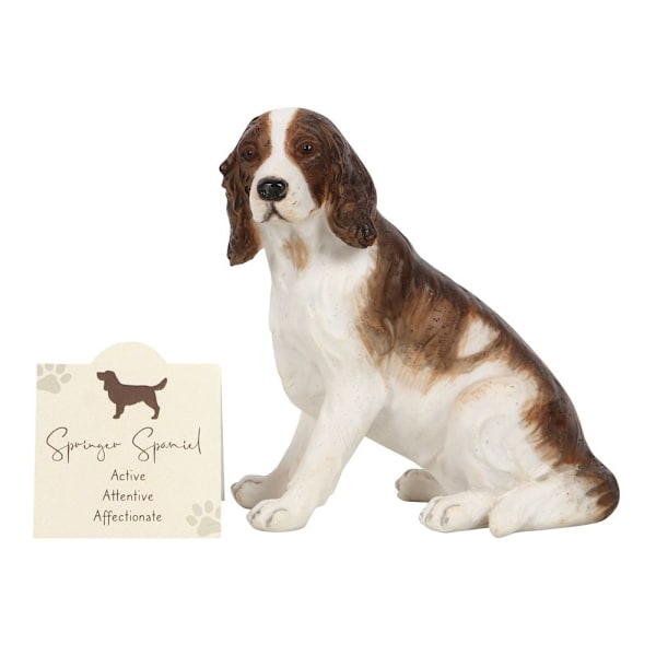 Something Different Resin Springer Spaniel Prydnad En Storlek Wh White/Brown One Size