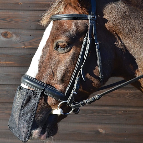 Hy Nose Shield Pony Svart Black Pony