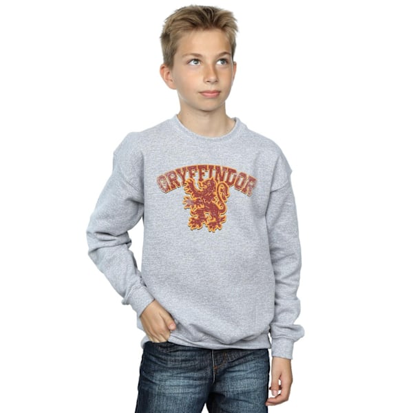 Harry Potter Pojkar Gryffindor Sport Emblem Sweatshirt 12-13 År Sports Grey 12-13 Years