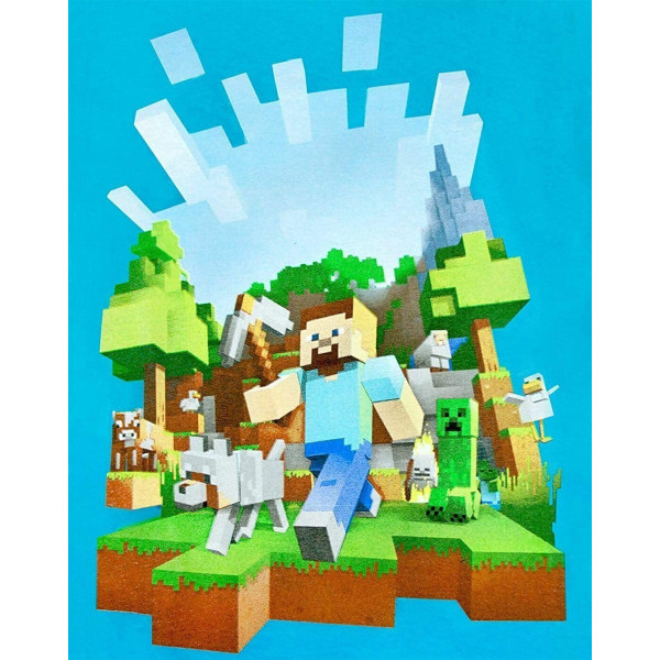 Minecraft Girls Adventure T-shirt 3-4 år blå Blue 3-4 Years
