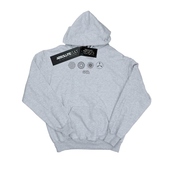 Fantastiska vidunder Kvinnor/Damer Cirkulära ikoner Hoodie XL Heather Heather Grey XL