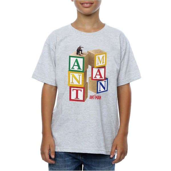 Marvel Boys Ant-Man Blocks T-shirt 12-13 år Heather Grey Heather Grey 12-13 Years