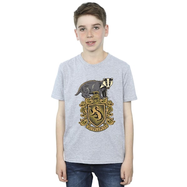 Harry Potter Pojkar Hufflepuff Sketch Crest T-Shirt 5-6 År Spo Sports Grey 5-6 Years