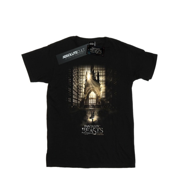 Fantastic Beasts Boys Movie Poster T-Shirt 7-8 Years Black Black 7-8 Years