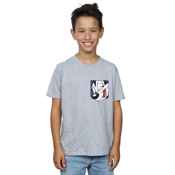 Looney Tunes Boys Pepe Le Pew Face Faux Pocket T-Shirt 12-13 År Sports Grey 12-13 Years