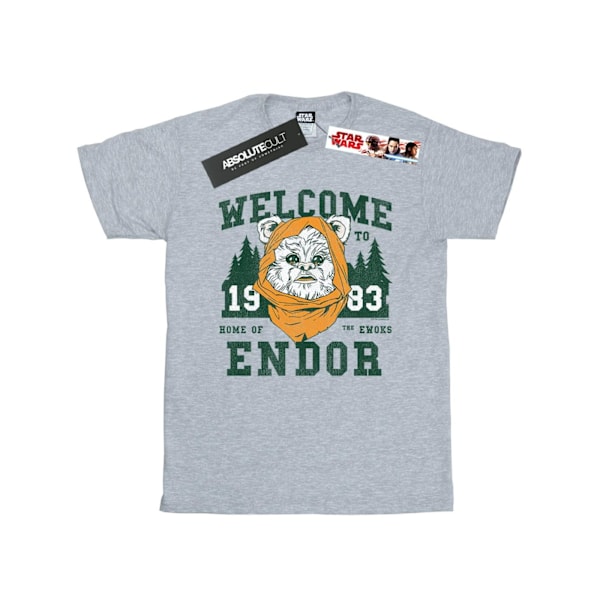 Star Wars Dam/Damer Endor Camp Bomull Boyfriend T-shirt L S Sports Grey L