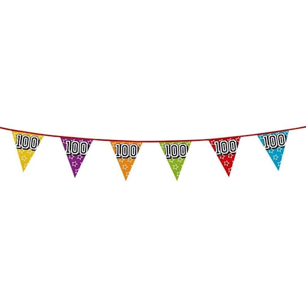 Boland Holografisk 100-årsdag Vimpel En Storlek Flerfärgad Multicoloured One Size