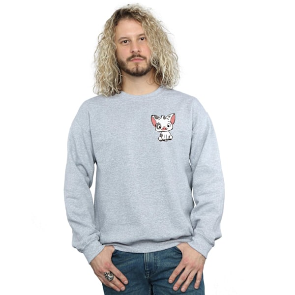 Disney Herr Moana Pua The Pig Brösttryck Sweatshirt XL Sport Sports Grey XL