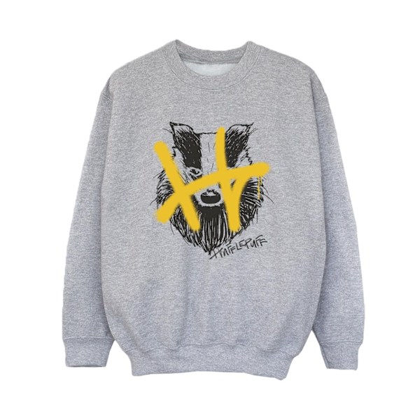 Harry Potter Boys Hufflepuff Pop Spray Sweatshirt 3-4 år Spo Sports Grey 3-4 Years