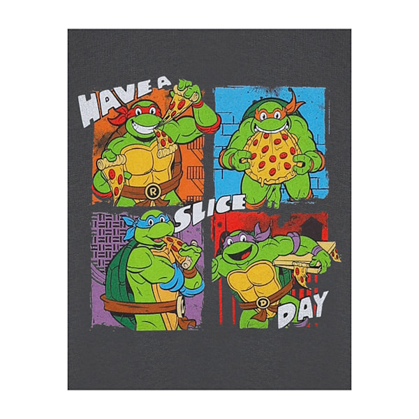 Teenage Mutant Ninja Turtles Pojkar Har En Skiva Dag Tröja 1 Charcoal 11-12 Years
