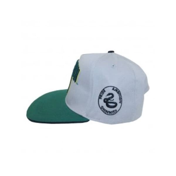 Harry Potter Slytherin Snapback Cap One Size Grå/Grön Grey/Green One Size