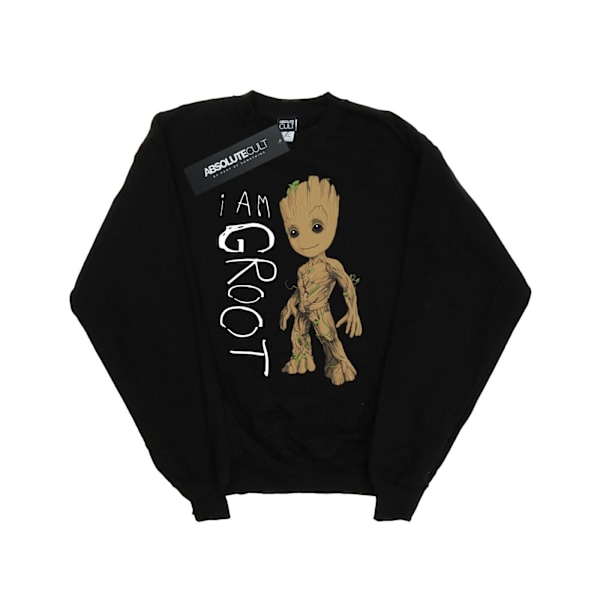 Marvel Girls Guardians Of The Galaxy I Am Groot Scribbles Sweatshirt Black 12-13 Years